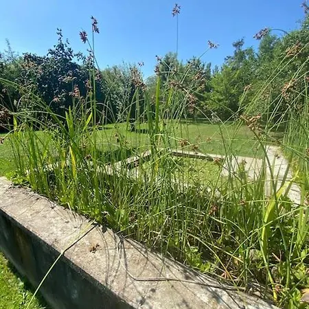 Familienurlaub Mit Hund An Der Ostsee Admannshagen-Bargeshagen