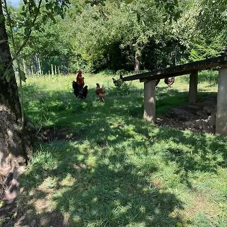 Familienurlaub Mit Hund An Der Ostsee Apartamento