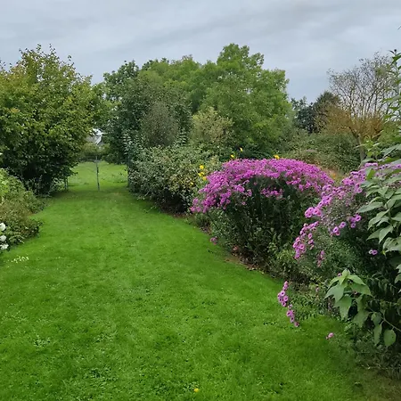 Familienurlaub Mit Hund An Der Ostsee Admannshagen-Bargeshagen