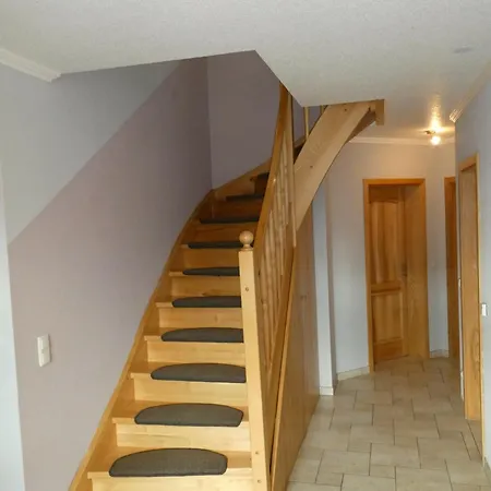 Familienurlaub Mit Hund An Der Ostsee *