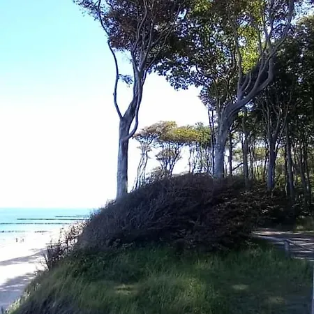 Familienurlaub Mit Hund An Der Ostsee Daire *