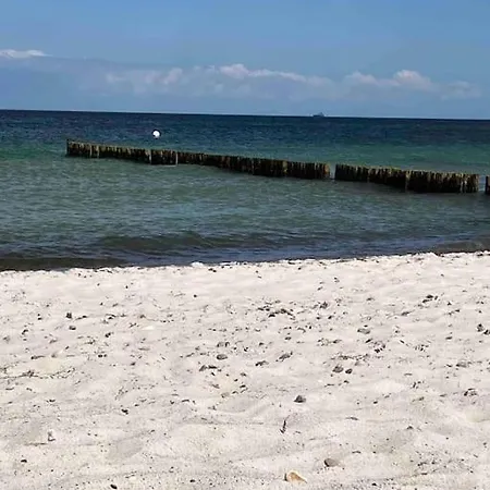 Daire Familienurlaub Mit Hund An Der Ostsee Admannshagen-Bargeshagen