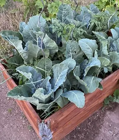 Apartamento Familienurlaub Mit Hund An Der Ostsee