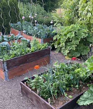 Familienurlaub Mit Hund An Der Ostsee *