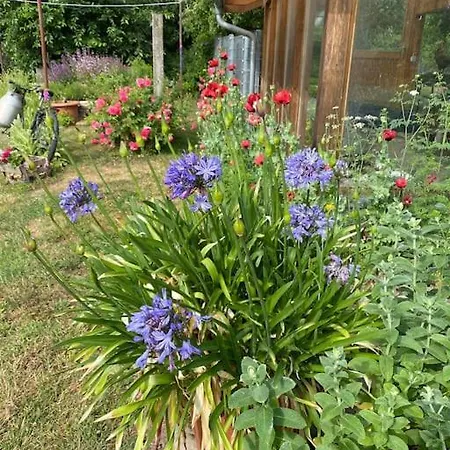 Familienurlaub Mit Hund An Der Ostsee