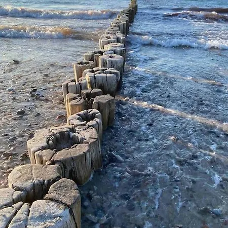 Familienurlaub Mit Hund An Der Ostsee * Admannshagen-Bargeshagen